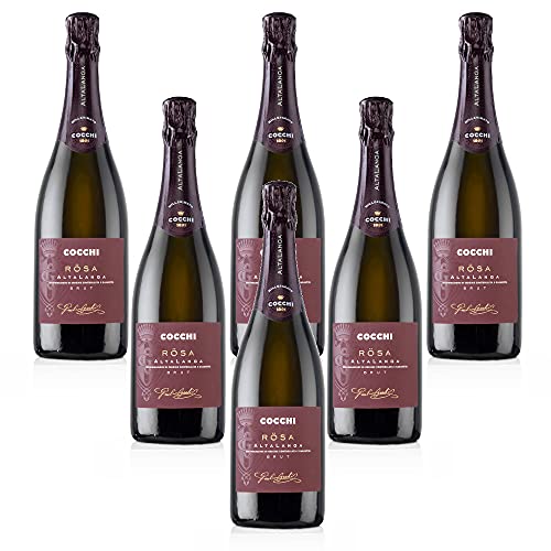 Rösa Brut Alta Langa DOCG Spumante Brut Metodo Classico (6 Flaschen 75 cl.) von Cocchi