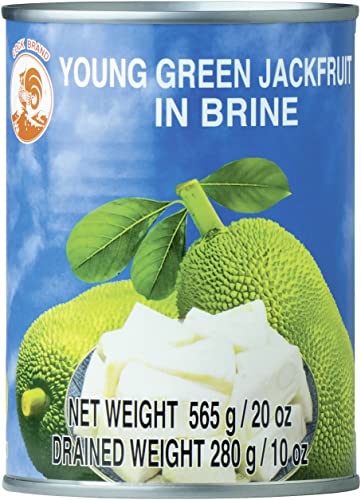 Cock Jackfruit in Salzwasser (1 x 565 g Packung) von Cock