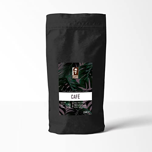 Coffee Fellows Café | ganze Kaffee Bohnen | Arabica & Robusta Spezialitätenkaffee | Filterkaffee (500g) von Coffee Fellows