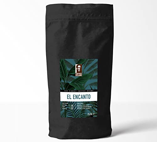 Coffee Fellows El Encanto Kaffee | ganze Kaffee Bohnen | 100% Arabica Spezialitätenkaffee | Single Origin (1kg) von Coffee Fellows