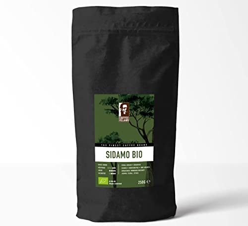 Coffee Fellows Sidamo Bio Kaffee | ganze Kaffee Bohnen | 100% Arabica Spezialitätenkaffee | Single Origin (500g) von Coffee Fellows