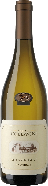 Collavini Eugenio Sauvignon Blancfumat Collio DOC Jg. 2022 von Collavini Eugenio