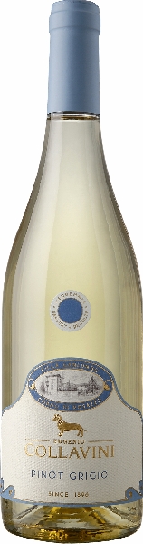 Collavini Eugenio Villa Canlungo Pinot Grigio DOC Friuli Venezia Giulia Jg. 2023 Collavini Eugenio Villa Canlungo Pinot Grigio DOC Friuli Venezia Giulia Jg. 2023