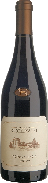 Collavini Eugenio Merlot di Casa IGT Venezia Giulia Jg. 2021 von Collavini Eugenio