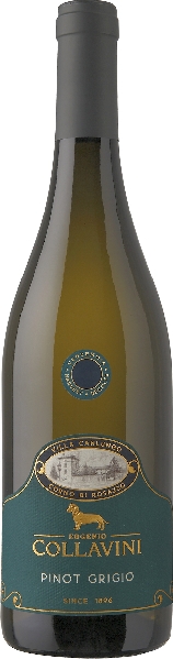 Collavini Eugenio Villa Canlungo Pinot Grigio Collio DOC Jg. 2022 Collavini Eugenio Villa Canlungo Pinot Grigio Collio DOC Jg. 2022