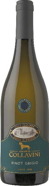 Collavini Eugenio Villa Canlungo Pinot Grigio Collio DOC Jg. 2022 von Collavini Eugenio