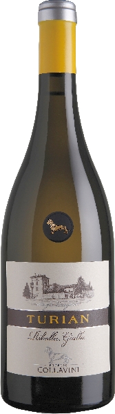 Collavini Eugenio Turian Ribolla Gialla DOC Friuli Colli Orientali Jg. 2020 Collavini Eugenio Turian Ribolla Gialla DOC Friuli Colli Orientali Jg. 2020
