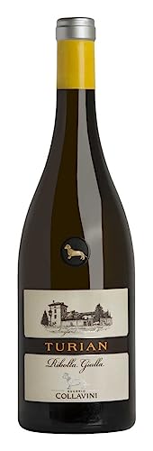 Collavini Pucino Refosco Collio Orientali del Friuli DOC, 750 ml, 6 Stück von Collavini