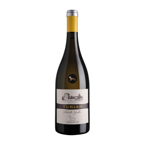 Collavini Turian Ribolla Gialla Colli Orientali del Friuli 75 cl Weißwein Collavini Turian Ribolla Gialla Colli Orientali del Friuli 75 cl Weißwein von Collavini