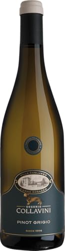 Collavini Villa Canlungo Pinot Grigio Collio DOC 2022 (1 x 0.75 l) von Collavini