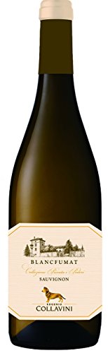 Eugenio Collavini Sauvignon Blancfumat Collio DOC 2013 (3 x 0.75 l) von Collavini