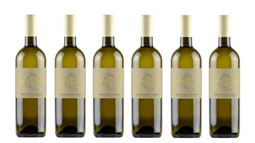 6x 0,75l - 2023er - Collestefano - Verdicchio di Matelica D.O.P. - Marken - Italien - Weißwein trocken von Collestefano