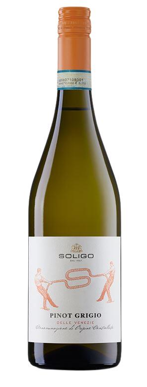 2023 Pinot Grigio von Colli del Soligo