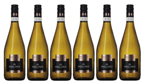 6x 0,75l - Cantina Colli del Soligo - Prosecco Frizzante - extra dry - Treviso D.O.P. - Veneto - Italien - Perlwein extra dry von Colli del Soligo