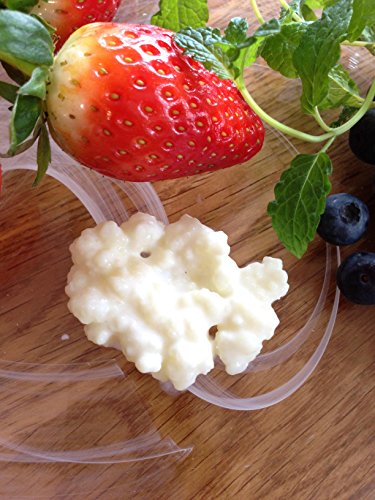 10g Bio-Milchkefir-Körner, Tibetische Pilze, Schneelotus 10g Bio-Milchkefir-Körner, Tibetische Pilze, Schneelotus von Colloidal