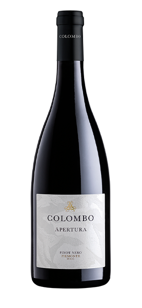 "Apertura" Pinot Nero Piemonte DOC 2018 von Colombo