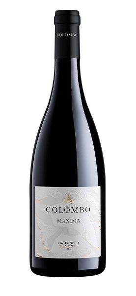 "Maxima" Pinot Nero Piemonte DOC 2015 von Colombo