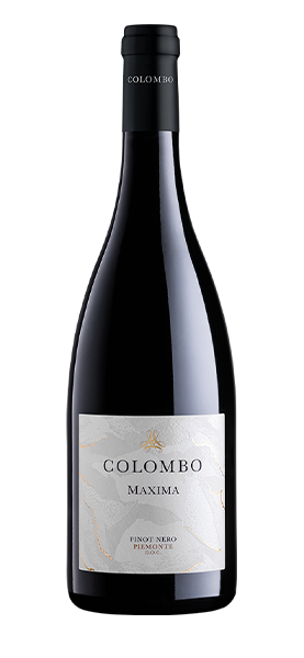 "Maxima" Pinot Nero Piemonte DOC 2018 "Maxima" Pinot Nero Piemonte DOC 2018 von Colombo