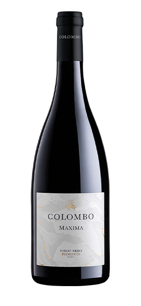 "Maxima" Pinot Nero Piemonte DOC 2018 von Colombo
