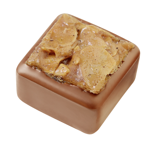 Florentiner-Praline Florentiner-Praline von Confiserie Burg Lauenstein GmbH