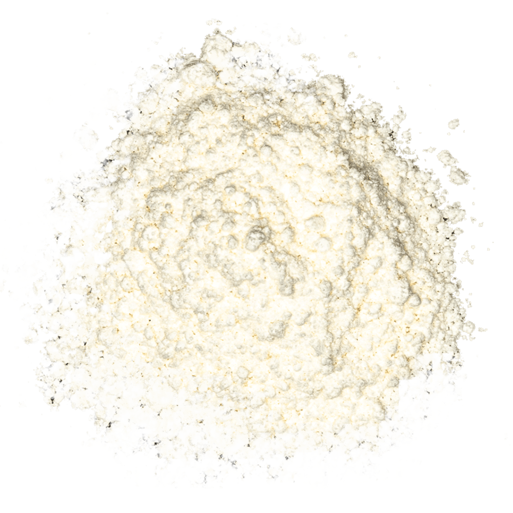 SPEKULATIUS SPEKULATIUS von Confiserie Burg Lauenstein GmbH