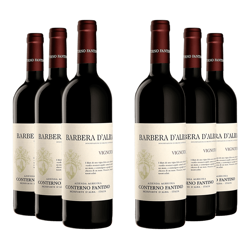 Conterno Fantino : Barbera d'Alba "Vignota" 2023 Conterno Fantino : Barbera d'Alba "Vignota" 2023 von Conterno Fantino