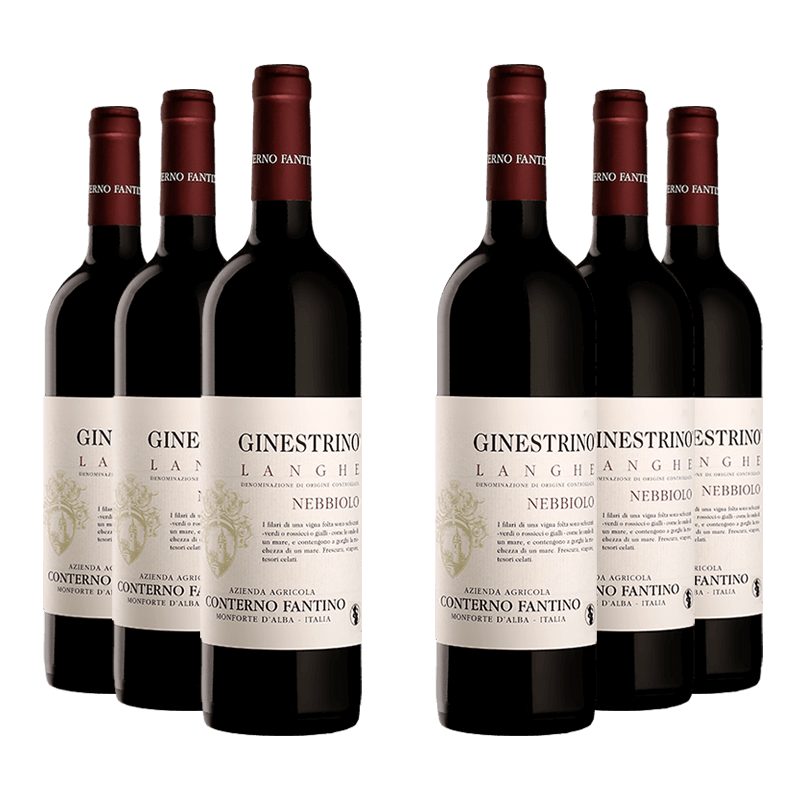 Conterno Fantino : Langhe Nebbiolo "Ginestrino" 2023 Conterno Fantino : Langhe Nebbiolo "Ginestrino" 2023 von Conterno Fantino