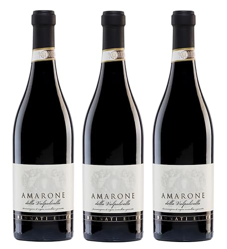 3x 0,75l - 2019er - Corte Pitora - Amarone della Valpolicella D.O.C.G. - Veneto - Italien - Rotwein trocken 3x 0,75l - 2019er - Corte Pitora - Amarone della Valpolicella D.O.C.G. - Veneto - Italien - Rotwein trocken von Corte Pitora