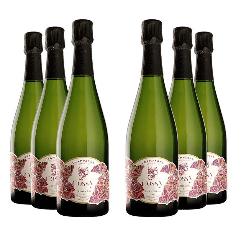 Cossy : L'Éphémère Brut Cossy : L'Éphémère Brut von Cossy