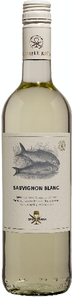 Cramele Recas Recas Speis Trank Sauvignon Blanc Jg. 2023