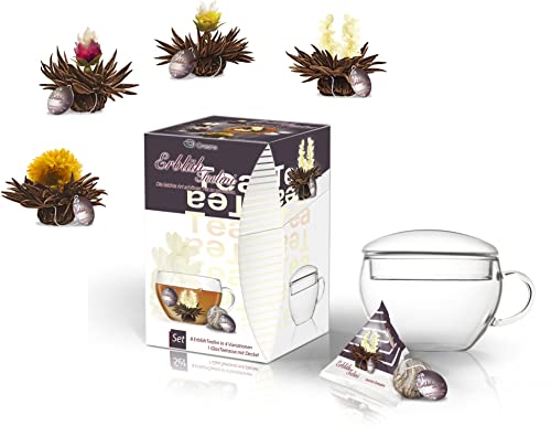 Creano Erblüh-Teelini schwarztee Geschenk-Set 'schwarzer Tee' 8 ErblühTeelini fein aromatisiert, 1 Teelini Glas-Teetasse 200 ml mit Deckel, der erste ErblühTee in Tassenformat von Creano