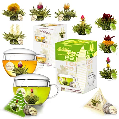 Creano 2x Teeblumen Geschenkset Teelini - Grüner + Weißer Tee mit je 8 Teeblumen + Teeglas 200ml von Creano