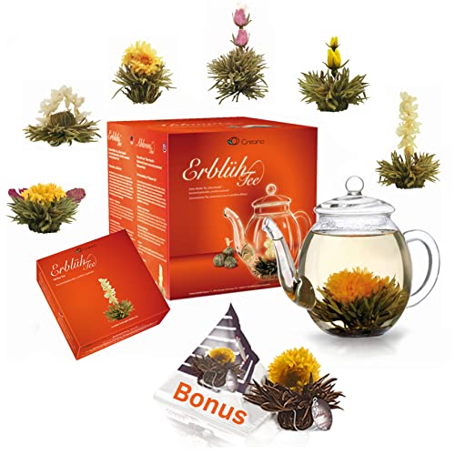 Creano Teeblumen Geschenkset - Erblühtee mit 500ml Glaskanne & 6x Weißer Tee + Teelini Schwarztee Bonuskugel - 8 teilig von Creano