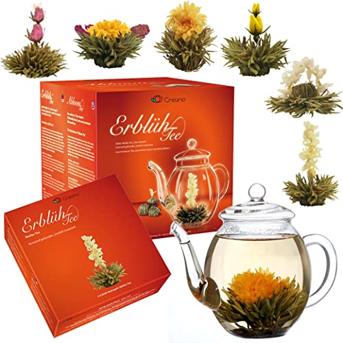 Creano Teeblumen Geschenkset - Erblühtee Frühjahrslese mit 500ml Glaskanne & 6x Weißer Tee - 7 teilig - Geschenk zu Weihnachten von Creano
