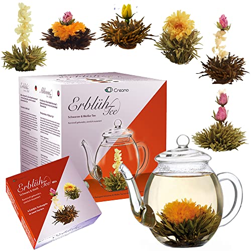 Creano Teeblumen Mix - Geschenkset ErblühTee mit Glaskanne 500ml Weißtee & Schwarztee mit 6 Teekugeln je 3x weißer & schwarzer Tee - 7 teilig von Creano