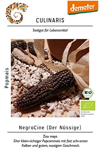 Culinaris 033 Popcornmais NegroCine (Bio-Popcornmaissamen) von Culinaris