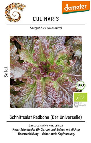 Culinaris 041 Schnittsalat Redbone (Bio-Schnittsalatsamen) von Culinaris
