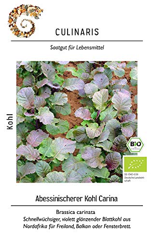 Culinaris 051 Abessinischerer Kohl Carina (Bio-Kohlsamen) [MHD 06/2019] von Culinaris