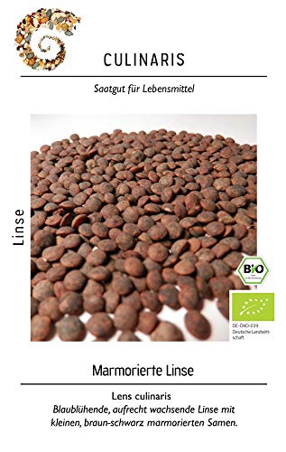 Culinaris 063 Marmorierte Linse (Bio-Linsensamen) von Culinaris