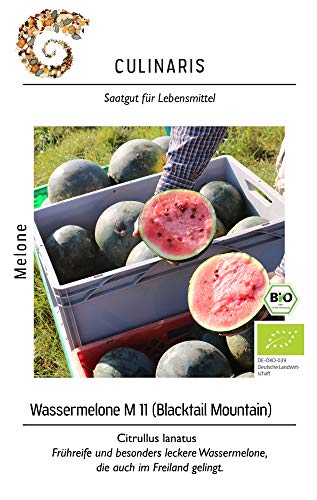 Culinaris 106 Wassermelone Blacktail Mountain (BIO Melonensamen) von Culinaris