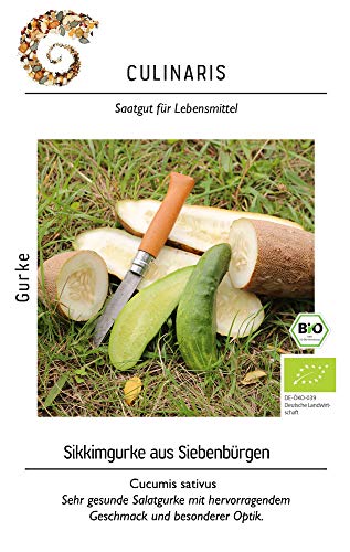 Culinaris 110 Gurke Sikkimgurke aus Siebenbürgen (BIO Gurkensamen) von Culinaris