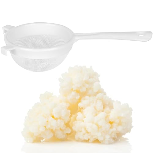 Curly Superfood Bio Kefirpilz Set - 10g Kefirknollen + Sieb aus deutscher Herstellung - Echten Milchkefir einfach selber machen - Bio Kefirknollen 10g als Kefir Starterkulturen für leckeren Bio Kefir von Curly Superfood