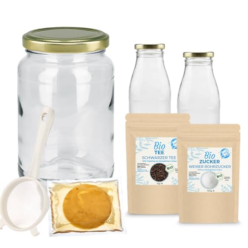 Curly Superfood Bio Kombucha Starter Set aus deutscher Herstellung - Tee einfach selbst herstellen mit vitalem Scoby Curly Superfood Bio Kombucha Starter Set aus deutscher Herstellung - Tee einfach selbst herstellen mit vitalem Scoby von Curly Superfood