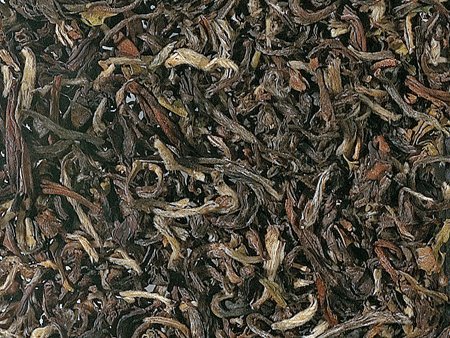 1kg - Tee - Darjeeling - Gopaldhara - Oolong Wonder Tea - first flush - halbfermentierter Tee von D&B