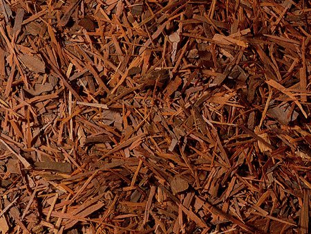 LAPACHO (Indiander-Tee) - geschnitten - Tee - Brasilien - 1KG von D&B