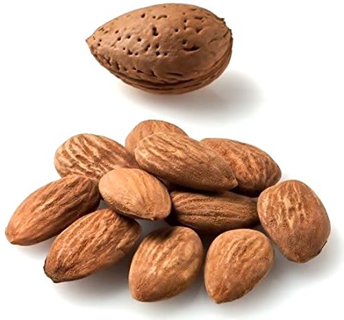 Mandeln aus Italien - Mandelkerne Ungeschälte Rein Ungesalzene naturbelassen 1kg - Frisches Produkt Vakuumverpackt Mandeln aus Italien - Mandelkerne Ungeschälte Rein Ungesalzene naturbelassen 1kg - Frisches Produkt Vakuumverpackt von DAMBRO