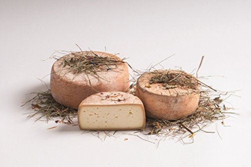 Fienoso Käse klein DEGUST ca. 500 gr. von DEGUST