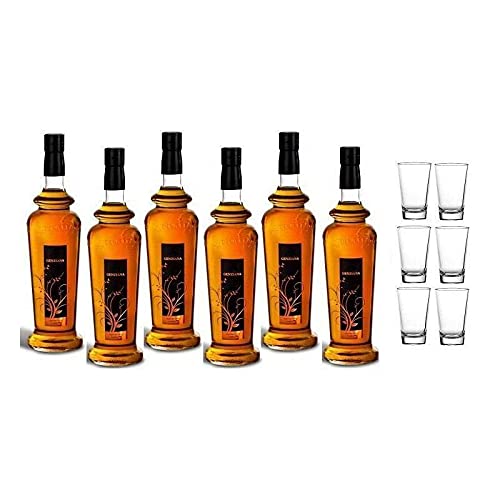 GENZIANA TYP ABRUZZO 6 Flaschen von 1 LT + 6 GLAS GENZIANA TYP ABRUZZO 6 Flaschen von 1 LT + 6 GLAS von DI CICCO
