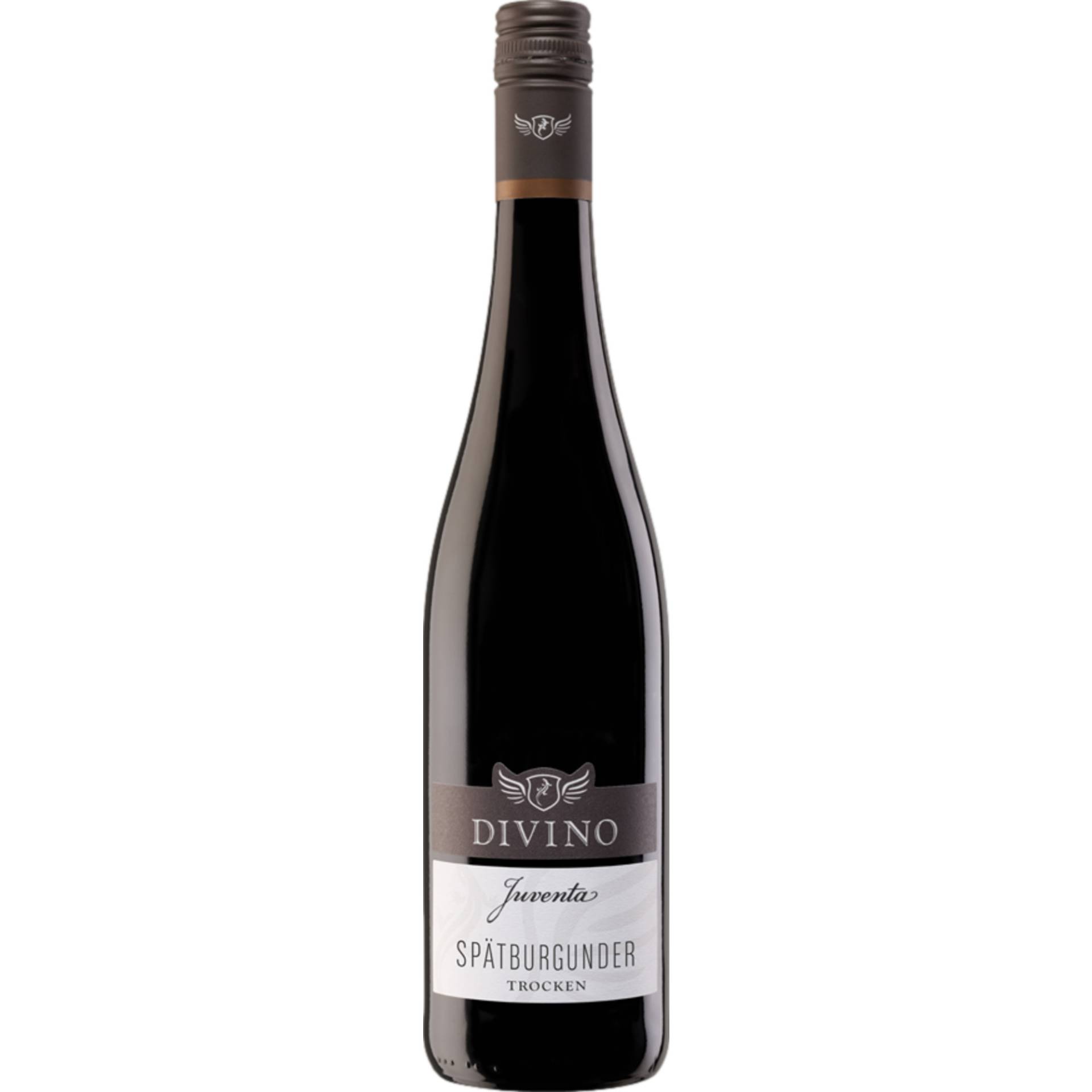 Divino Juventa Spätburgunder, Trocken, Franken, Franken, 2023, Rotwein Divino Juventa Spätburgunder, Trocken, Franken, Franken, 2023, Rotwein von DIVINO eG - Langgasse 33, 97334 Nordheim am Main - DE