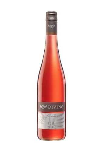 DIVINO JUVENTA Rosé trocken QbA 2022 (0,75 l) - Frankens Feine Weine von DIVINO